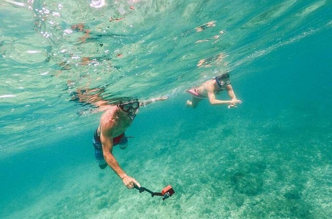 Admission Ticket to Coral World & Coki Point Beach with Snorkeling - Building a two-to-eight-hour visit