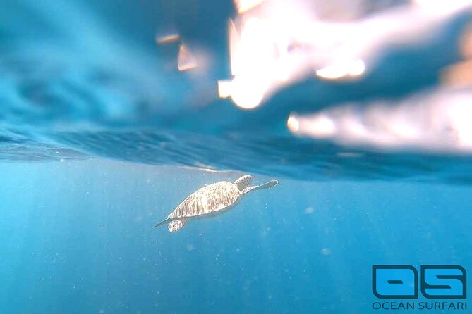 Afternoon Snorkel, Pizza & Sunset Tour departing from St. Thomas & St. John - What this afternoon boat trip actually includes