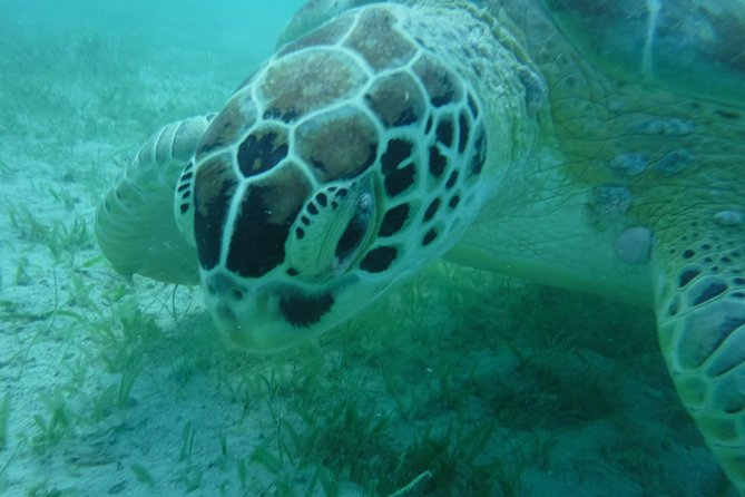 All-Inclusive Sunset Sail - Semi Private - Only 6 Guests - Snorkeling near Honeymoon Beach