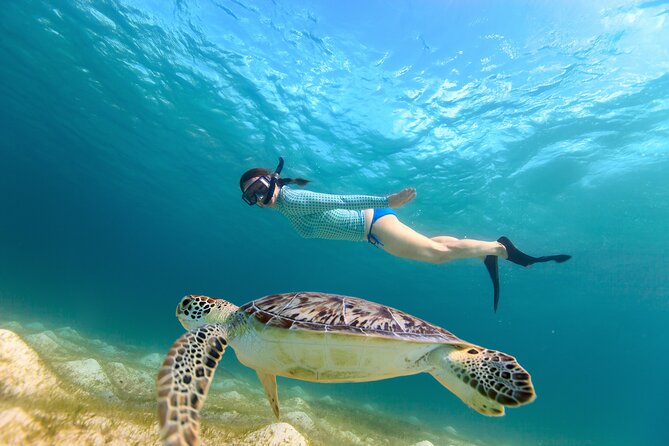 Best of Mangrove Lagoon Kayak, Hike and Snorkel Adventure with Picnic Lunch - Why this tour gives you more than a kayak ride