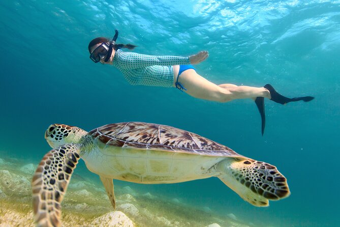 Cas Cay - Kayak Hike and Snorkel Adventure - Starting at Mangrove Lagoon Marina