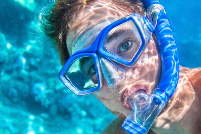 Cas Cay - Kayak Hike and Snorkel Adventure - Snorkeling in the Mangrove Nursery