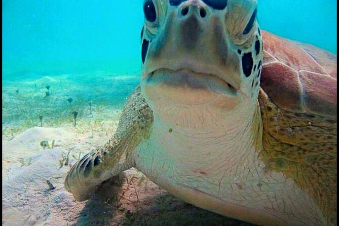 Cas Cay - Kayak Hike and Snorkel Adventure - What the Guides Add to the Experience