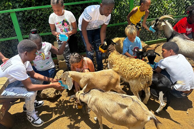 Connors Farms Petting Zoo - Meeting the Animals at the Farm