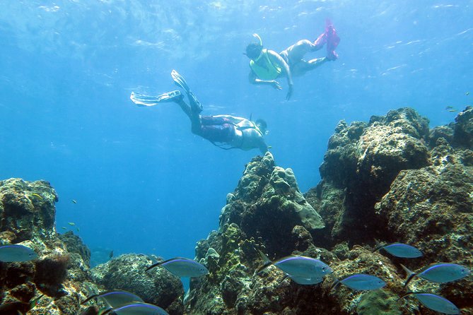 Coral Reef and Turtle Kayak Excursion - The first paddle: learning the kayak