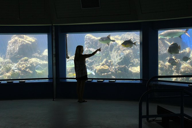 Coral World Ocean Park General Admission Ticket - The undersea observatory: snorkeling without getting wet