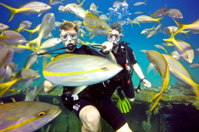 Discover Scuba Diving with No Certification in St Thomas - What the St. Thomas experience is really like