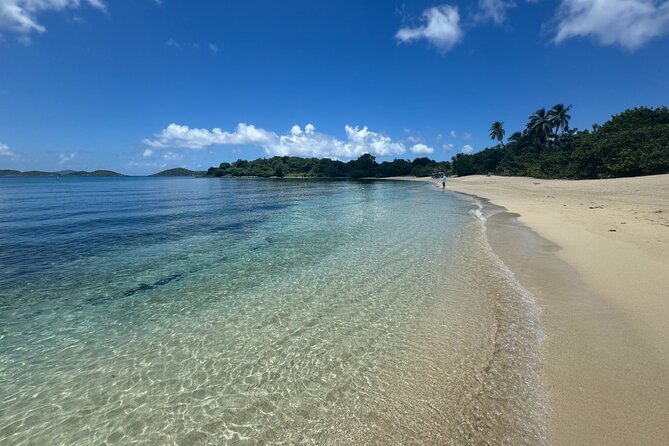 Explore St. John, Beaches and National Park Private Tour - Why a private Jeep makes sense on St. John