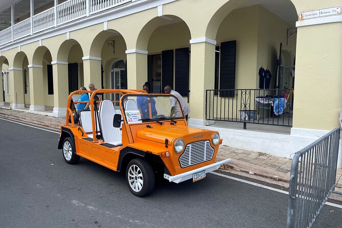 Frederiksted Moke Tour - Sandy Point Art Oasis and its famous beach