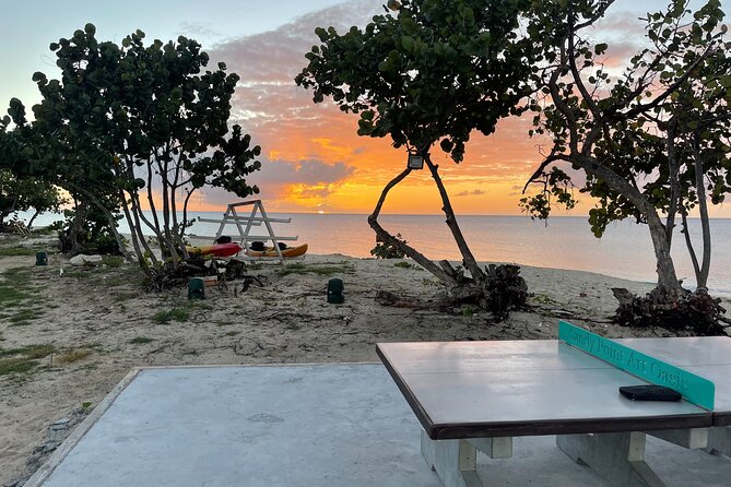 Frederiksted Moke Tour - Best for cruise passengers and relaxed beach days