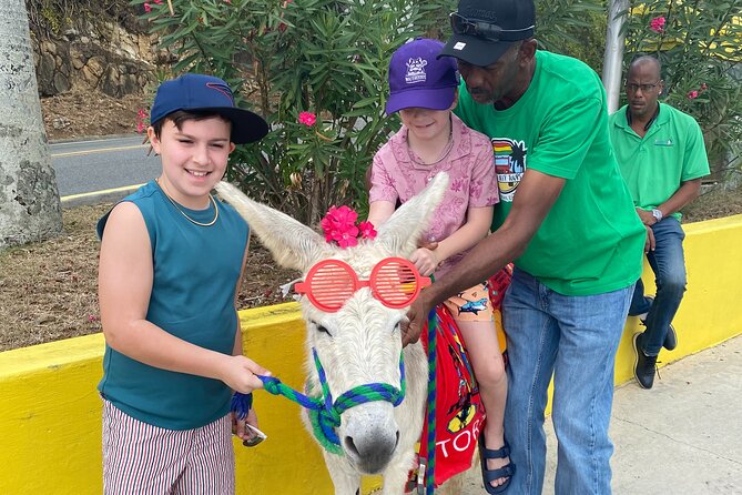 Full Day Cultural Jeep Beach Tour, St. Thomas & Water Island - Who will enjoy this St. Thomas jeep tour?