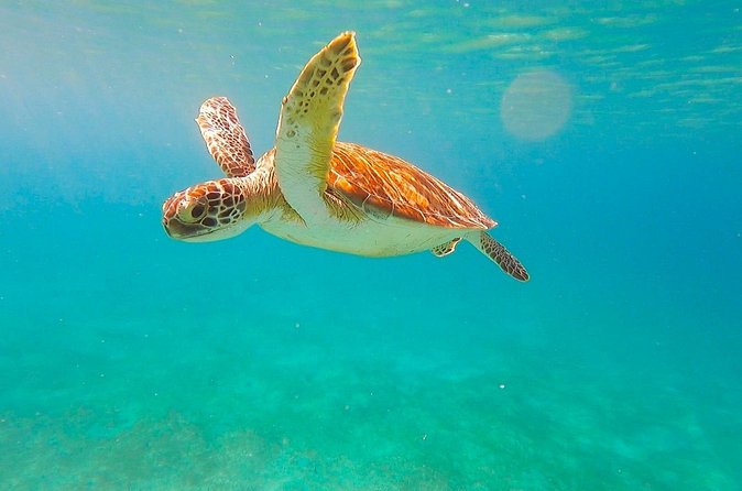 Full-Day Sailing Tour in Virgin Islands National Park - Who will enjoy this sailing day most