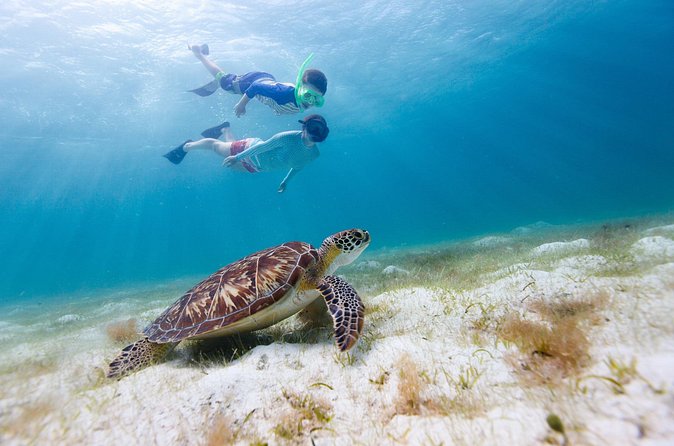 Full or Half Day Private Power Catamaran- USVI Beach and Snorkel - Christmas Cove and lunch at Pizza Pi