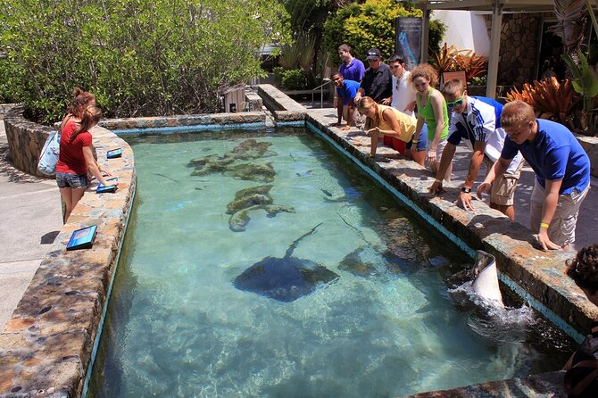 Guided Tour of Coral World Ocean Park & Happy Hour - Meeting your guide at 6450 Coki Point