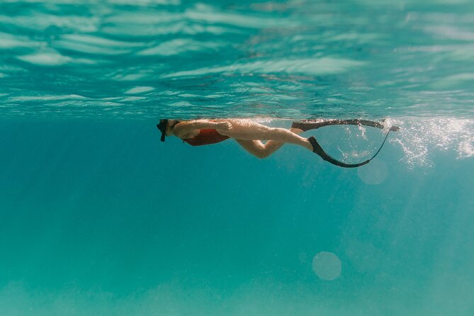 Half Day Boat Charter around the Islands of St Thomas and St John - Captains who shape the experience