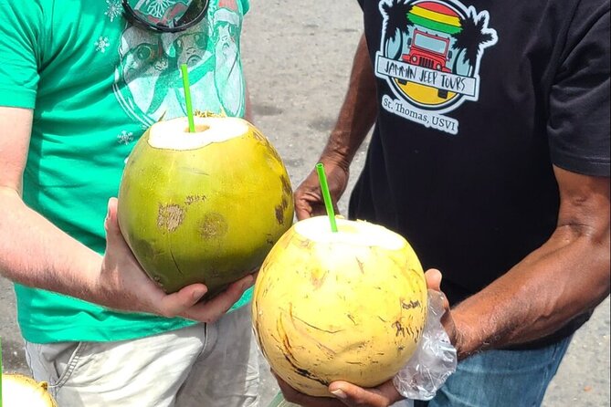 Half Day Cultural Jeep Beach Adventure - 4 Hr Tour St. Thomas - The guides are the heart of the outing