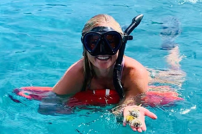 Half Day Luxury Catamaran Turtle Snorkel And Beach - Finding green turtles in their natural setting