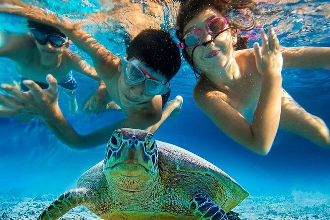 Half Day Snorkeling Tour from Margaritaville - Who should book this charter?