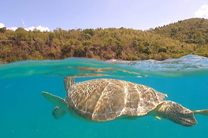 Half or Full-Day Private Boat Charter from St. John or St. Thomas - Cruise passengers need a careful plan