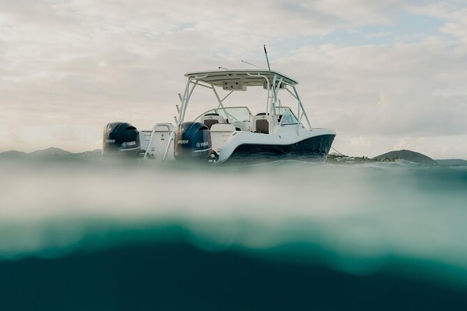 Half or Full-Day Private Boat Charter from St. John or St. Thomas - Who should book this boat trip?
