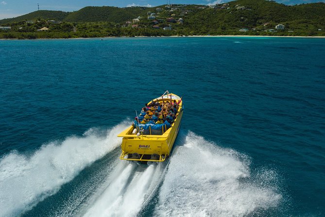 High Speed Harbor Tour from Charlotte Amalie Cruise Port - Prepare for spins, fishtails, and a full soaking