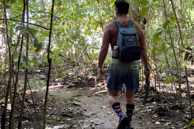 Honeymoon Beach Eco Hike and Snorkel - Why this short St. John hike is worth considering