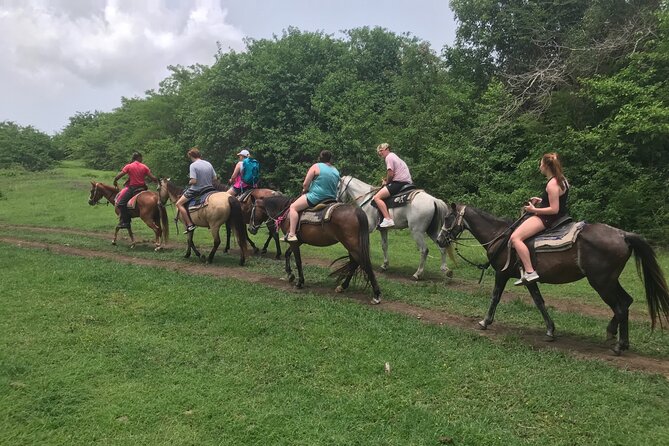 Horseback Riding Experience - Why This St. Croix Horse Ride Feels Personal