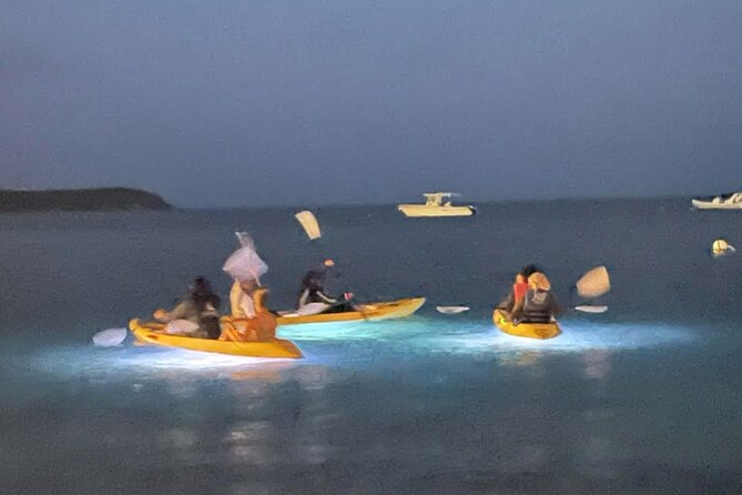 Illuminated Night Kayaking at the Elysian Resort - What the illuminated kayak adds