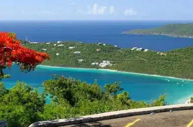 Island Buggy Excursions - Brewer’s Bay and the Possibility of Sea Turtles
