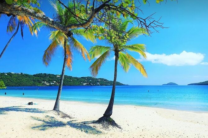 Island Buggy Excursions - Mountain Top for Banana Daiquiris and Big Views