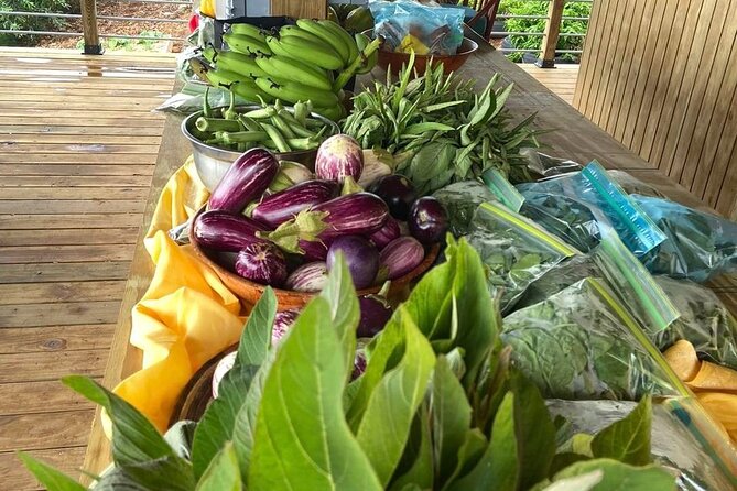 Island Eco Farm Tour with Local Treats and Sapphire Beach Time - Families, cruise visitors, and beach lovers