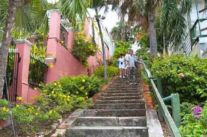 Island Icons & Treasures Tour - St. Thomas USVI - What the private price really means