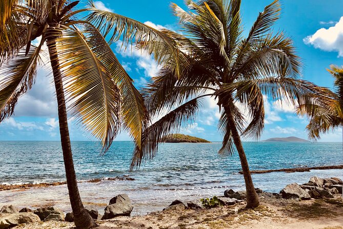 Island Life Jeep Tours - Your Day Your Way Private Excursion! - How to get the best value from $575