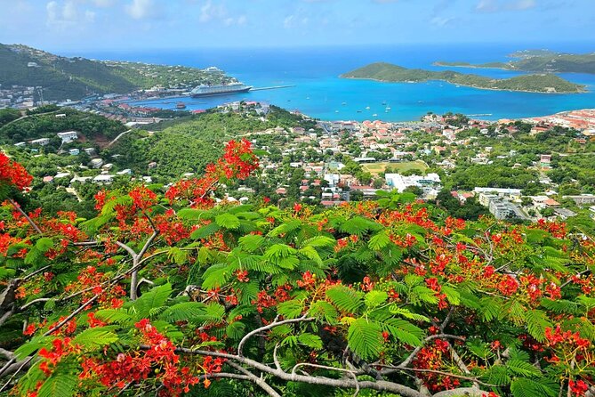 Island Life Jeep Tours - Your Day Your Way Private Excursion! - Snorkeling with gear already in the jeep