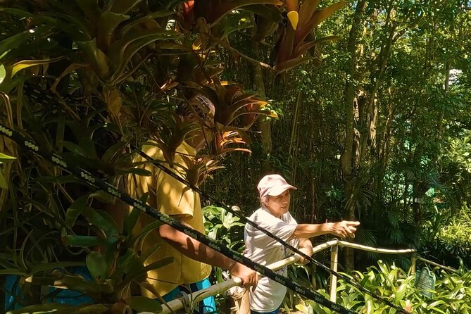 Luxury Private Tour in ST.Thomas(6per group) - Local stories add more than a drive-by view