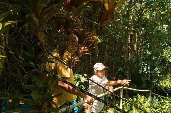 Luxury Private Tour in ST.Thomas(6per group) - Charlotte Amalie mixes shopping with Danish-era streets