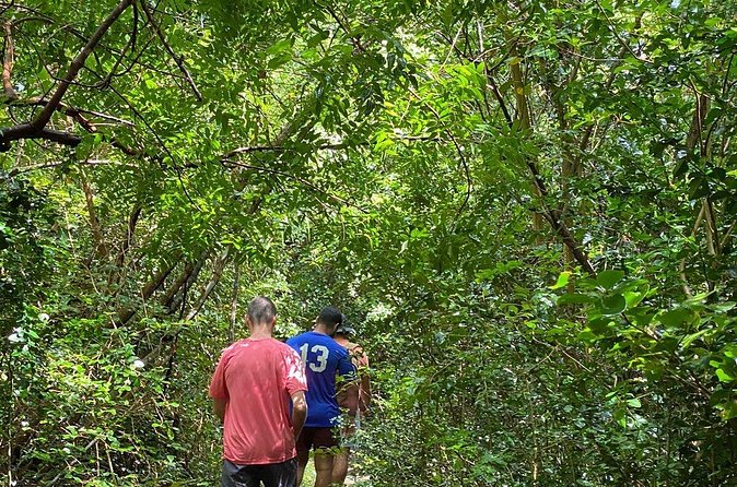 Magens Bay Trail Hiking Tour - Who will enjoy this St Thomas hike most
