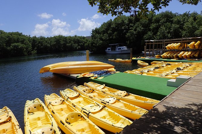 Mangrove Lagoon Kayak Rental in St Thomas - Arriving on Mariendahl Road