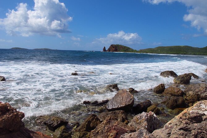 Mangrove Lagoon Kayak Rental in St Thomas - Wildlife above and below the water