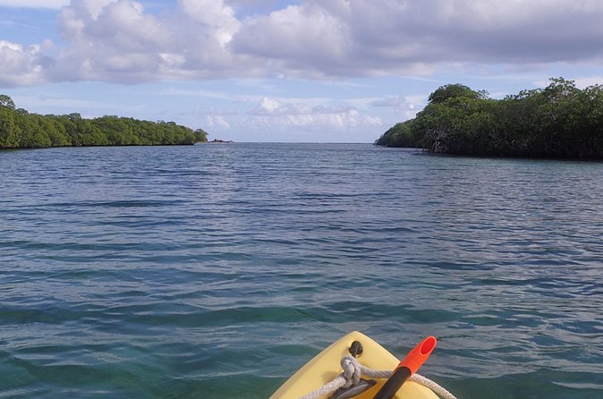 Mangrove Lagoon Kayak Rental in St Thomas - Snorkeling, swimming, and taking breaks