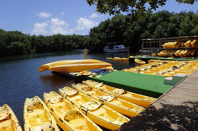 Mangrove Lagoon Kayak Rental in St Thomas - What the staff add to the experience
