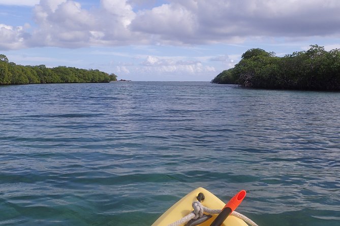 Mangrove Lagoon Kayak Rental in St Thomas - Is $69 a good value?