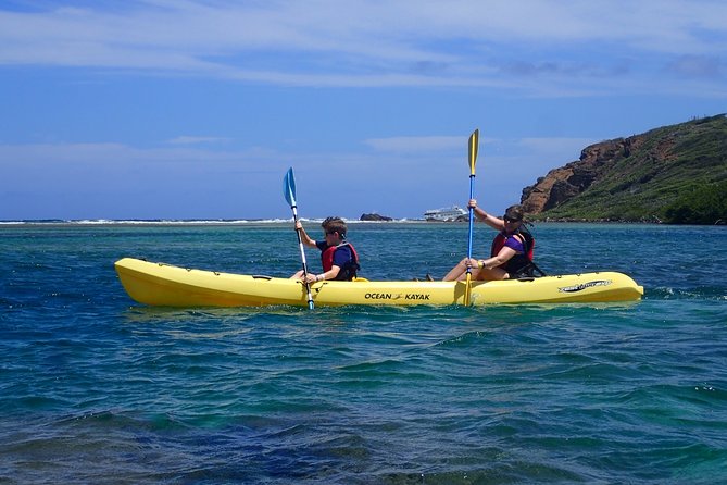 Mangrove Lagoon Kayak Rental in St Thomas - Choosing between a single and double kayak