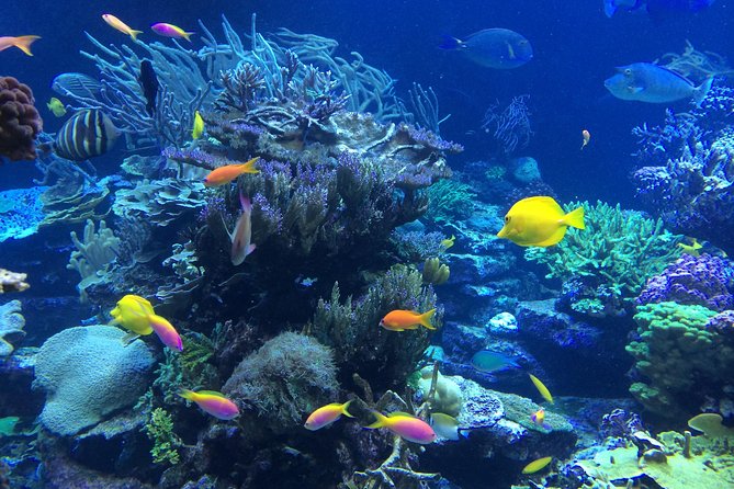 National Park Snorkeling Excursion - Equipment, comfort, and the open bar