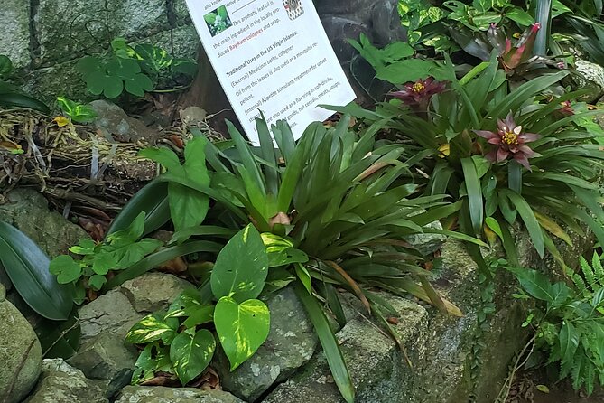Nature and Sightseeing at Phantasea Tropical Botanical Garden - Why Phantasea makes a good change of pace