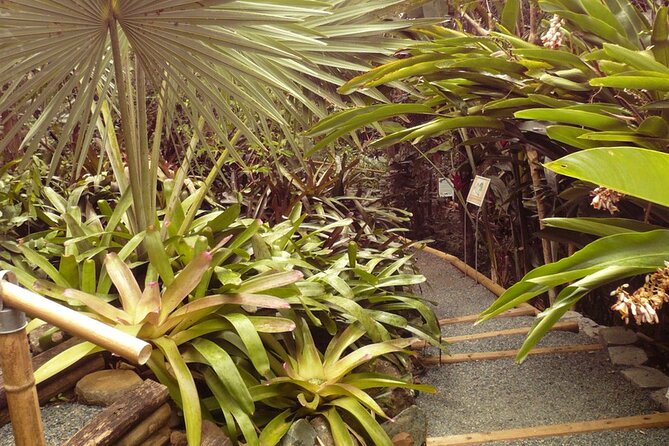 Nature and Sightseeing at Phantasea Tropical Botanical Garden - What the two-hour schedule really means