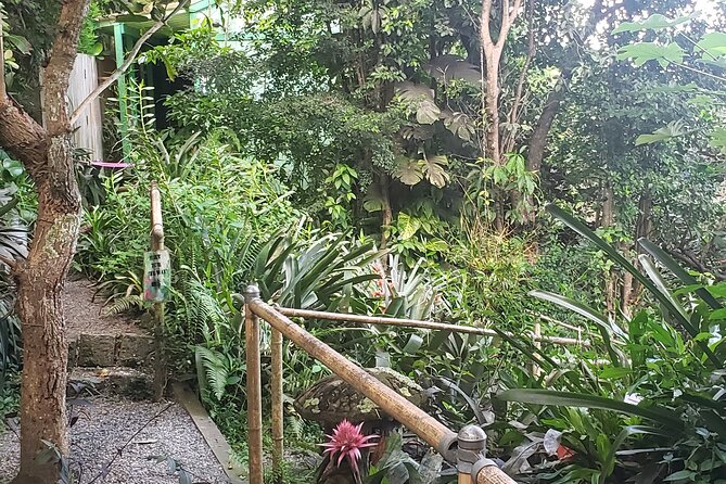 Nature and Sightseeing at Phantasea Tropical Botanical Garden - Pickup, guides, and group size