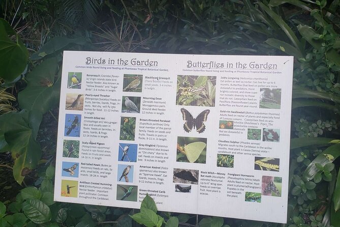 Nature and Sightseeing at Phantasea Tropical Botanical Garden - Bromeliads, palms, and succulents add variety