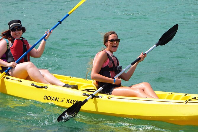 On Your Own: Kayak in the Mangrove Lagoon - Key points to know before you go