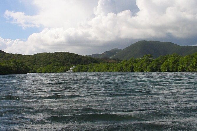 On Your Own: Kayak in the Mangrove Lagoon - Shore time around Cas Cay